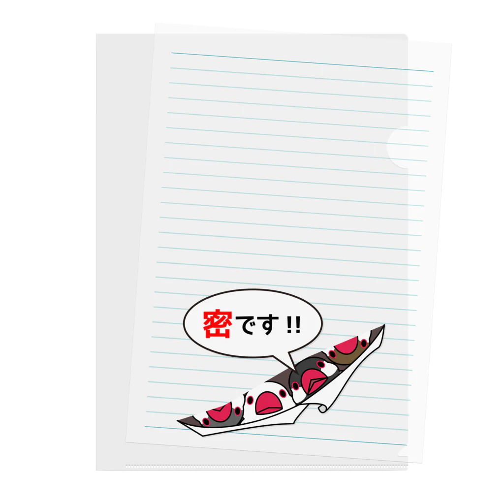 まめるりはことりの密です！フィンチさん【まめるりはことり】 Clear File Folder