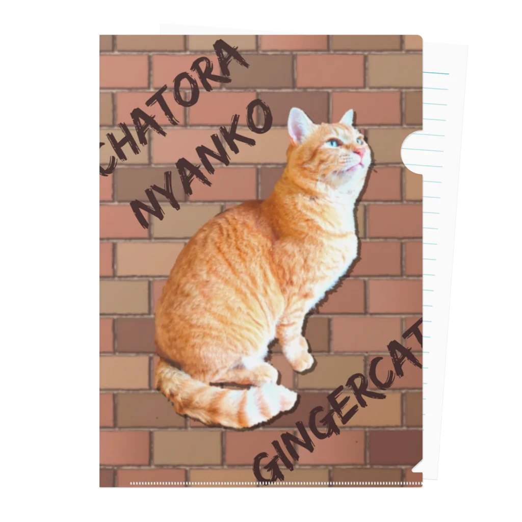 ともの茶トラにゃんこ Gingercat 文字入り クリアファイル