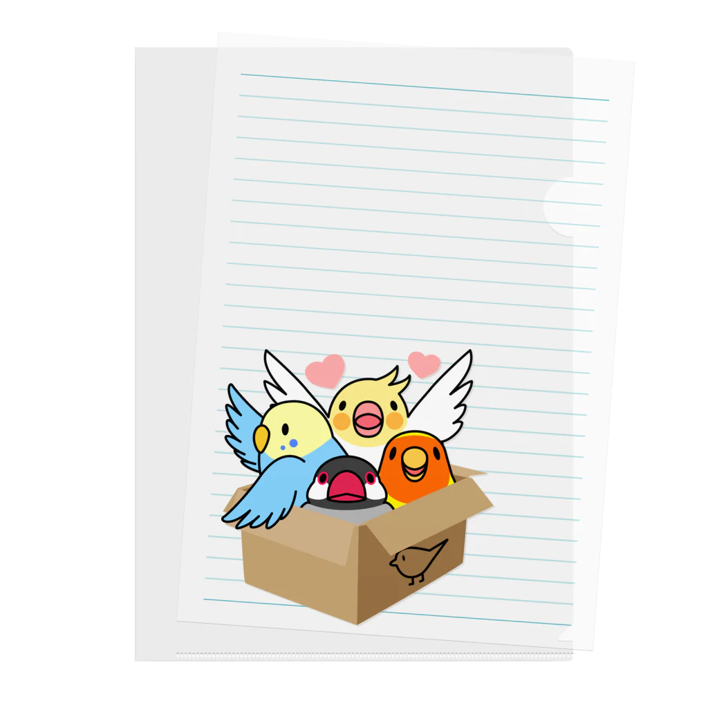 まめるりはことりの拾ってくださいインコ【まめるりはことり】 Clear File Folder