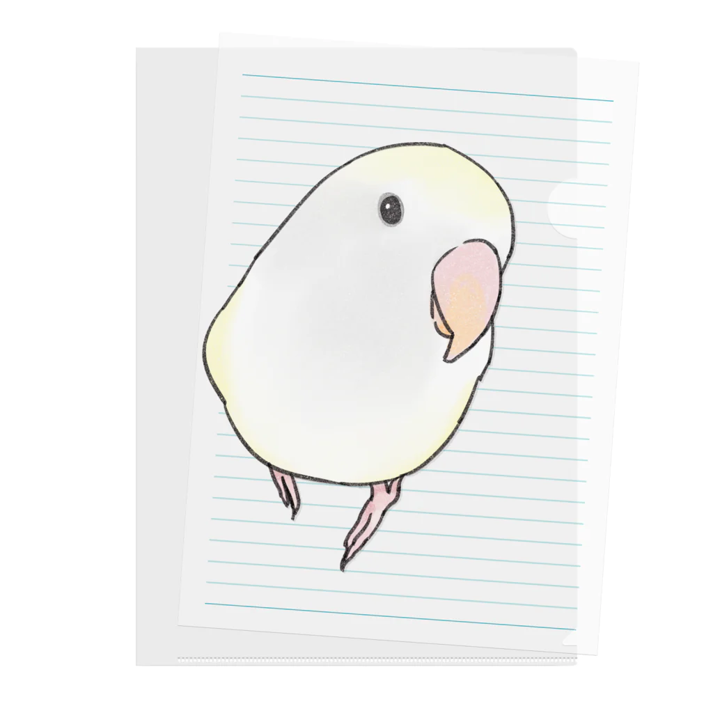 まめるりはことりのコザクラインコ　バイオレットパイドちゃん【まめるりはことり】 Clear File Folder