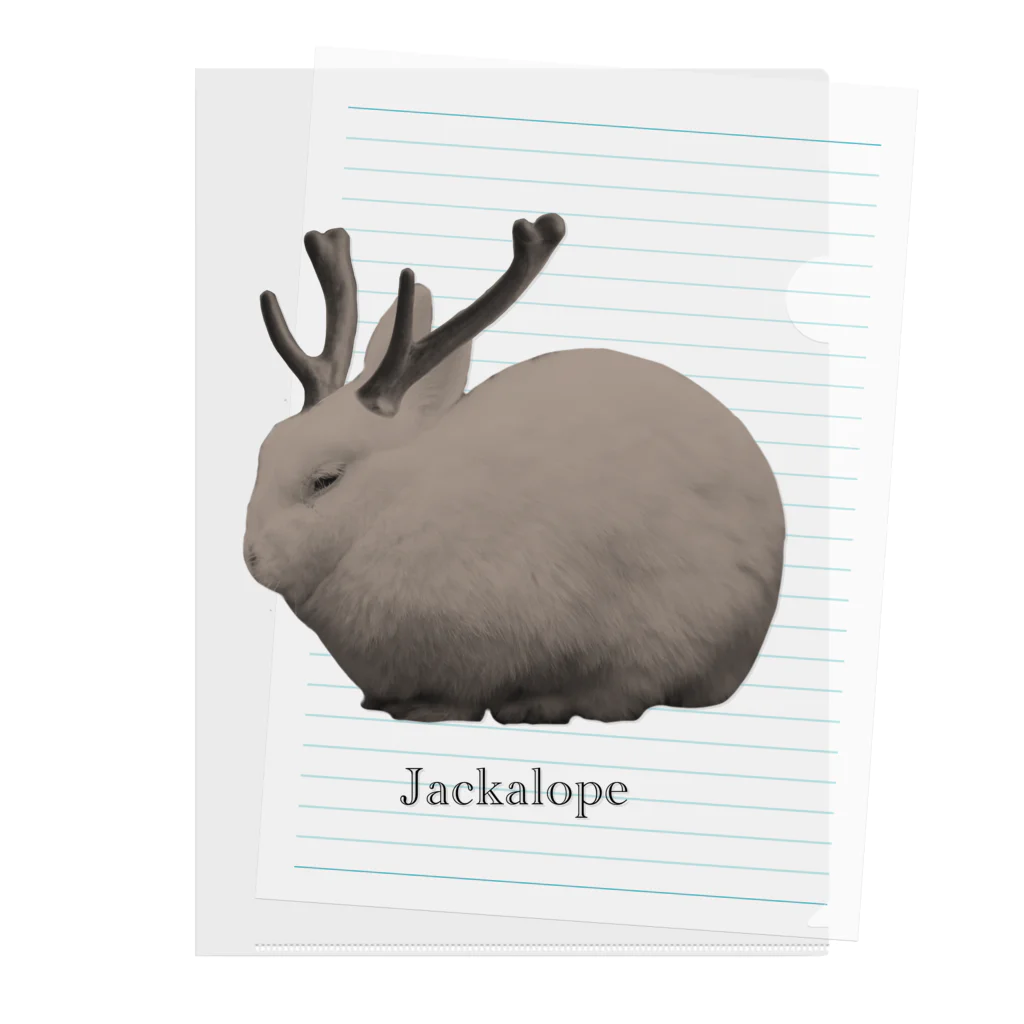 Jackalope Houseの未確認生物 クリアファイル