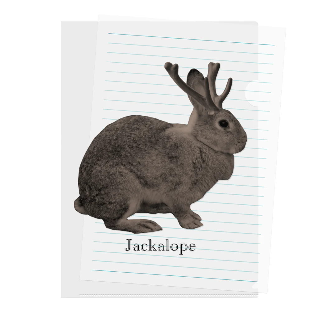 Jackalope Houseの未確認動物 クリアファイル