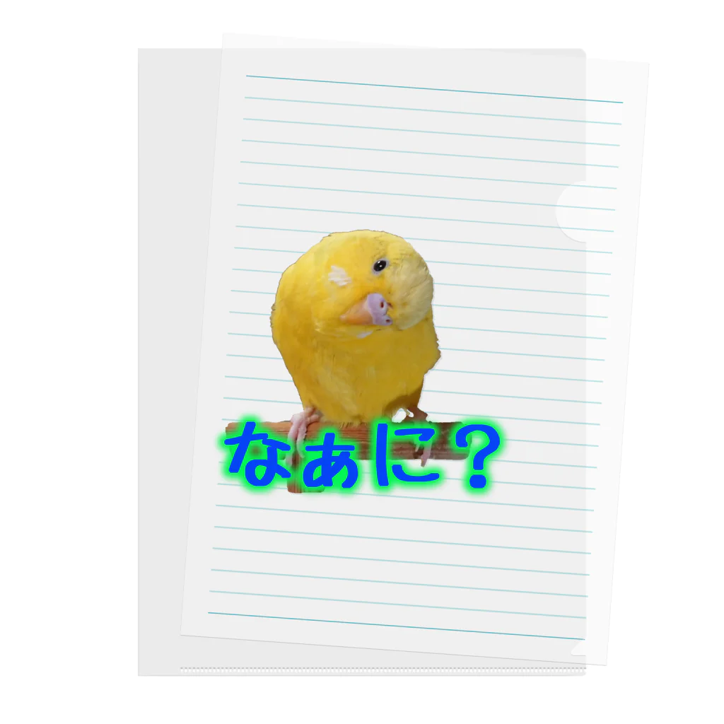 ぴーよこまる（セキセイインコ）のまるのなぁに？ Clear File Folder