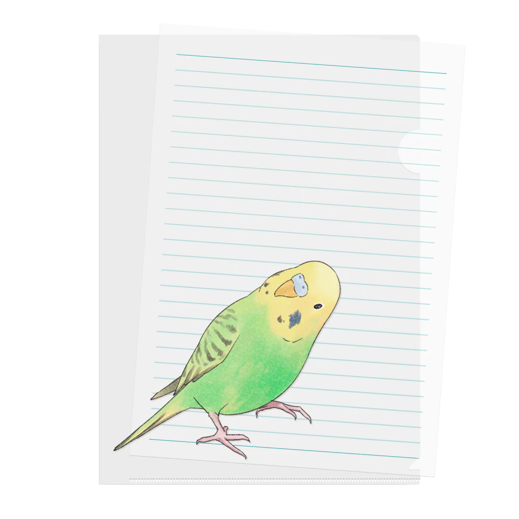 まめるりはことりの首傾げセキセイインコ　ピーちゃん【まめるりはことり】 Clear File Folder