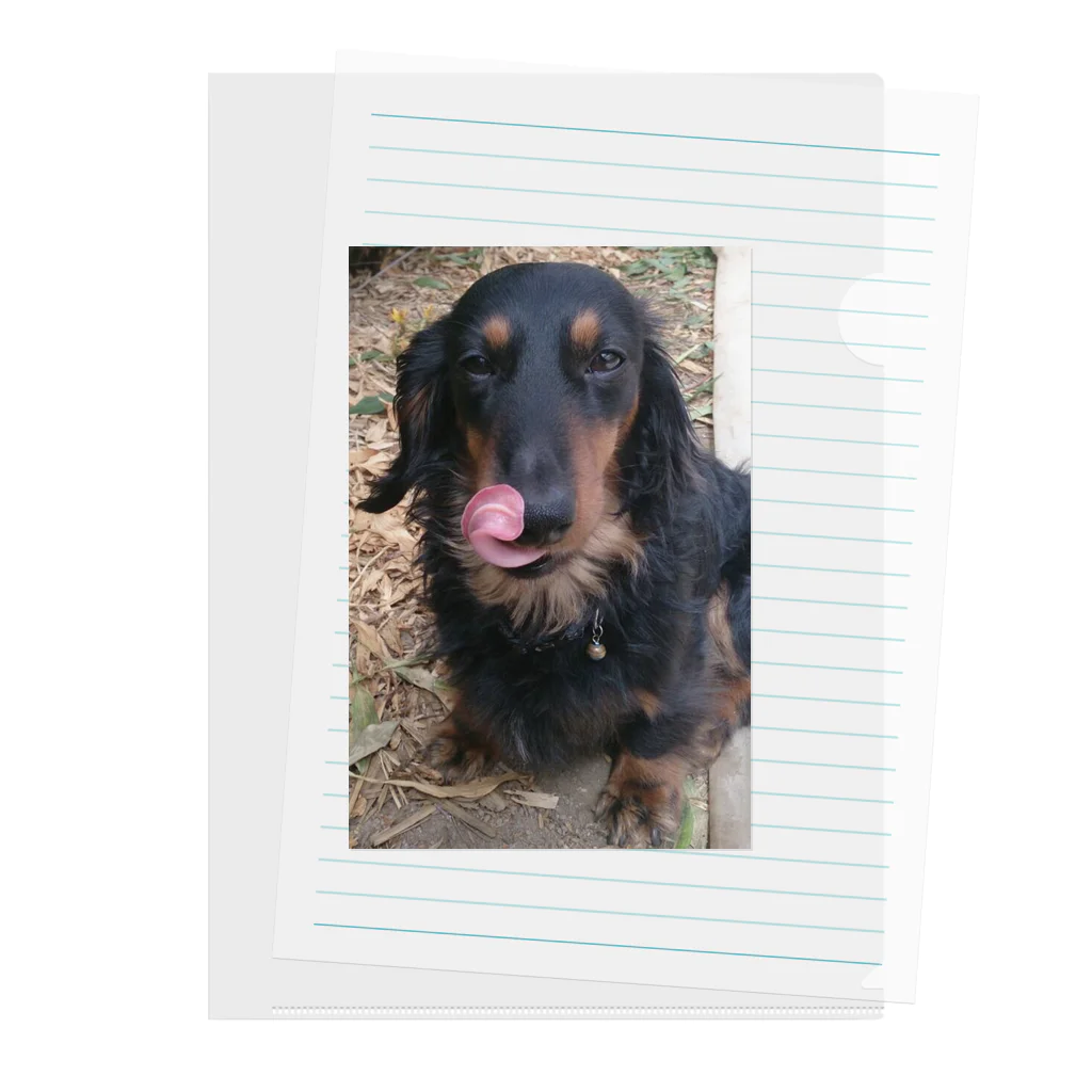 ruby mini moonのdog Clear File Folder