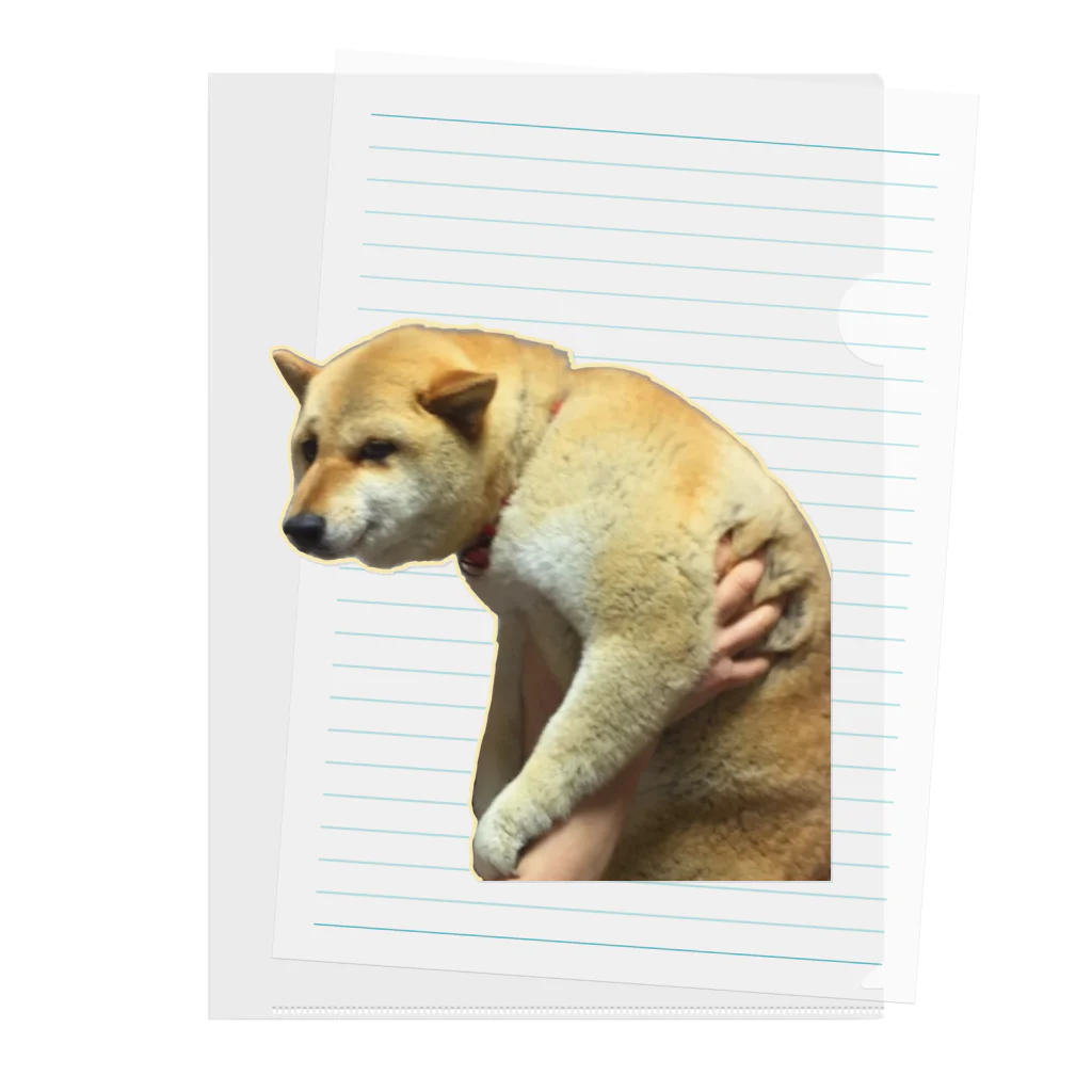 柴犬しばわんこhana873の微妙な表情のもふもふ柴犬しばいぬ Clear File Folder