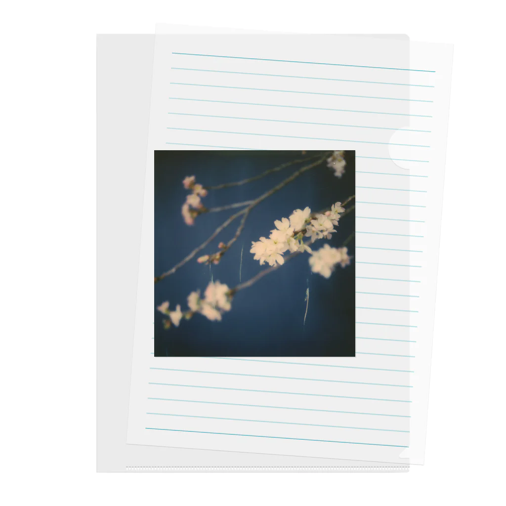 Petrichorの夜桜 Clear File Folder