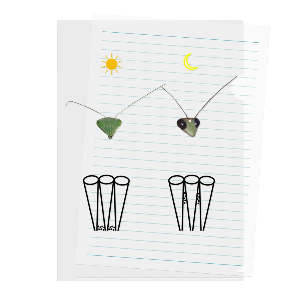 L_arctoaのカマキリの昼と夜の複眼（絵文字、背景透過ver） Clear File Folder
