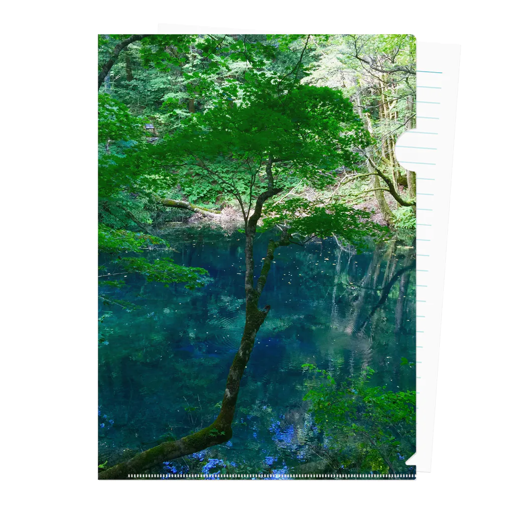 Studio  BLUEの青森　白神山地 Clear File Folder