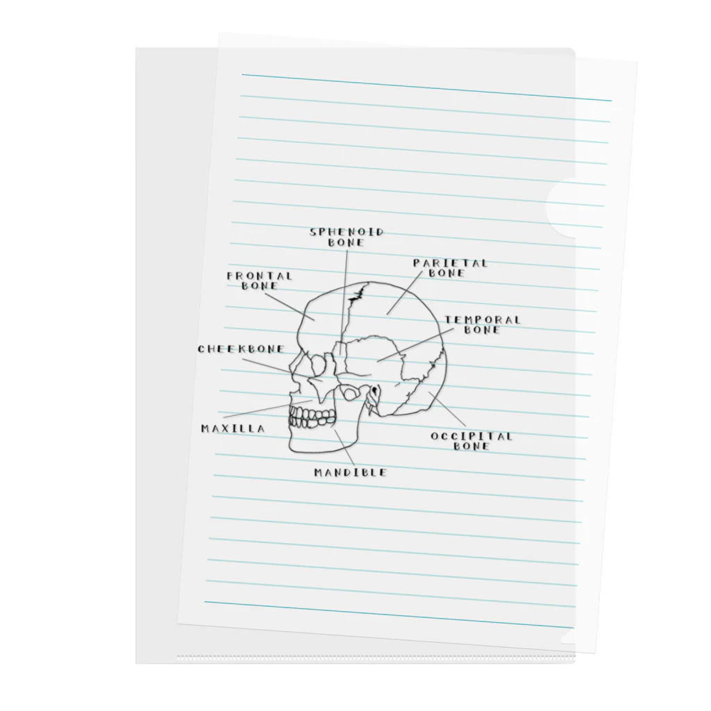 1nocchiの頭蓋骨の横顔 クリアファイル