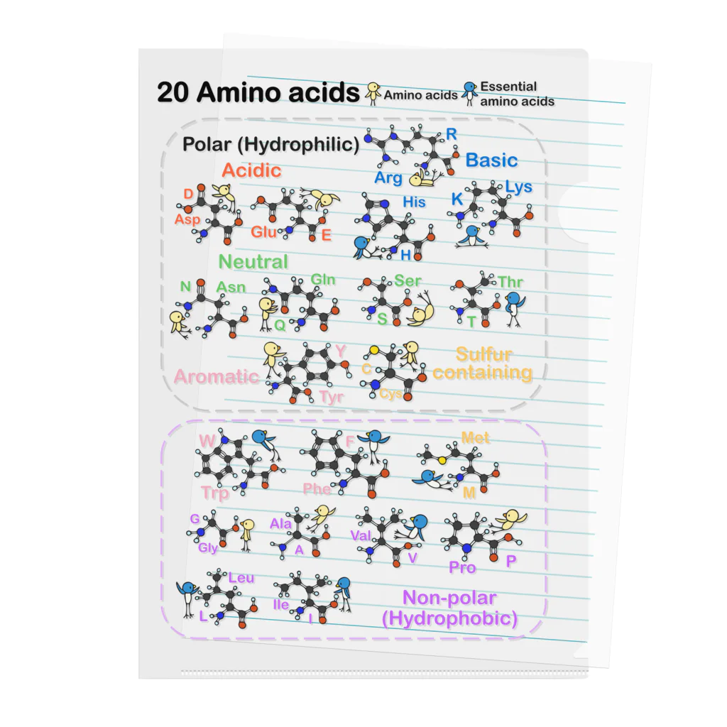 みずしまワークスの20アミノ酸ぴよ(背景透明) クリアファイル