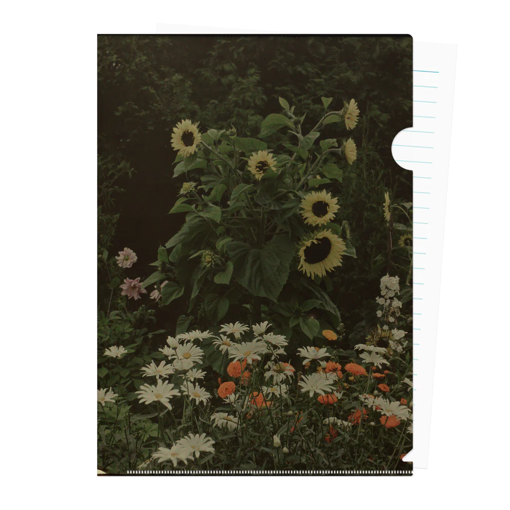 The Netherlands paintingのひまわりと家の庭／Tuin van het huis Kersbergen, Zeist, met onder andere zonnebloemen Clear File Folder