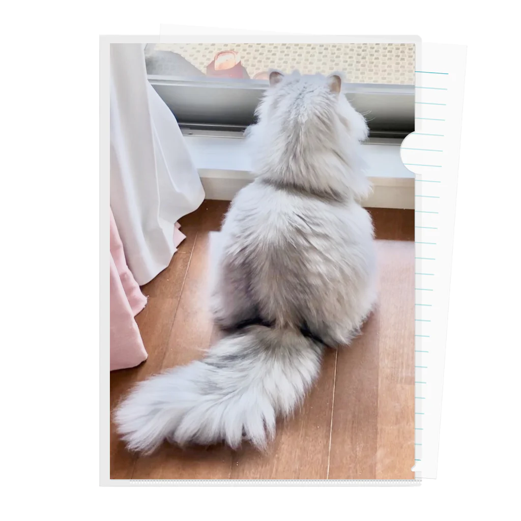 猫しゃちょうのアッくんのお・し・り💕 クリアファイル