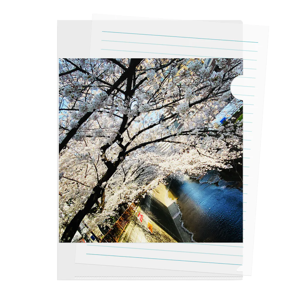 ppmの桜 Clear File Folder