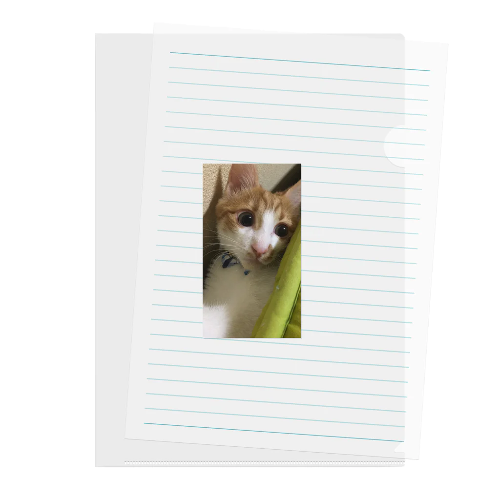 むむ😸🍈(mumu)グッズの茶白猫むむ Clear File Folder