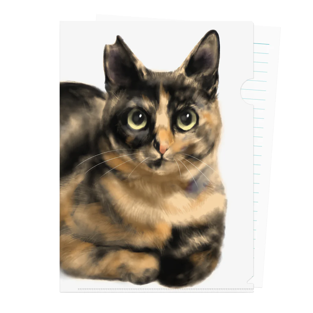 ジュウナンザイ屋のいとこんちのねこ Clear File Folder