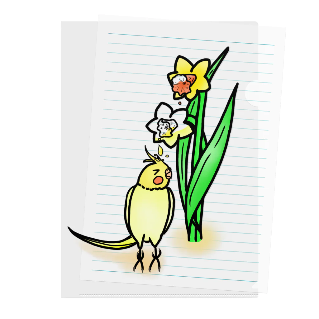 Lily bird（リリーバード）の水仙の雫で染まるオカメインコ① Clear File Folder