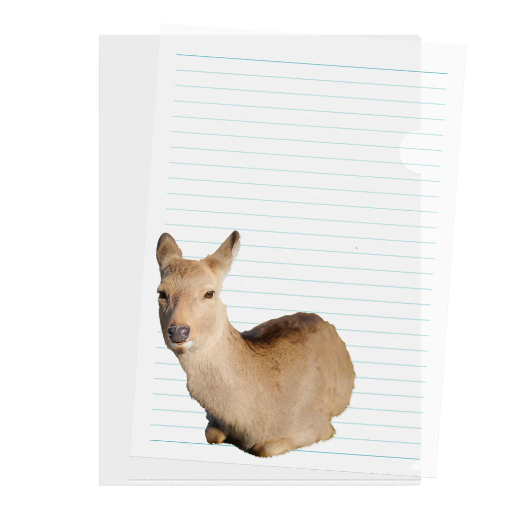 monaca vingt-troisのcerf Clear File Folder