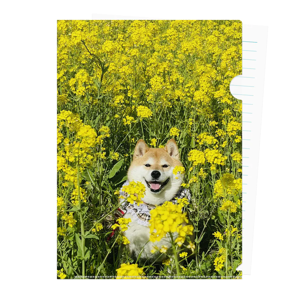 ハナちゃんの！の菜の花ハナちゃん Clear File Folder