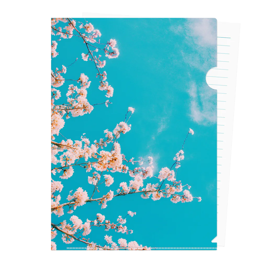 青空市場の青空と桜 Clear File Folder