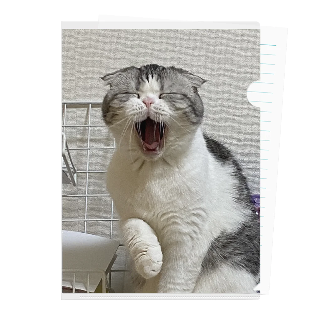 No Cats No LifeのMee3 Clear File Folder