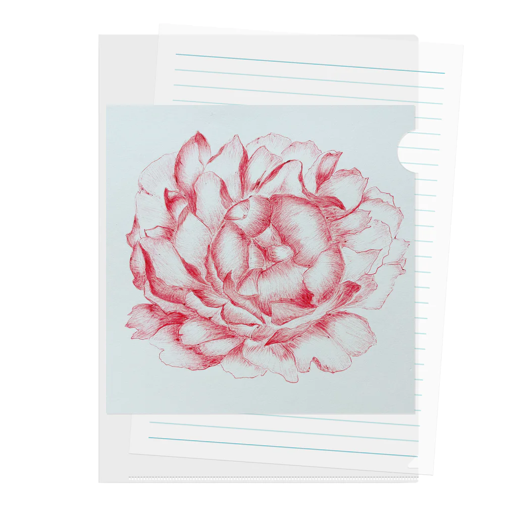 ピッチーの芍薬 peony Clear File Folder