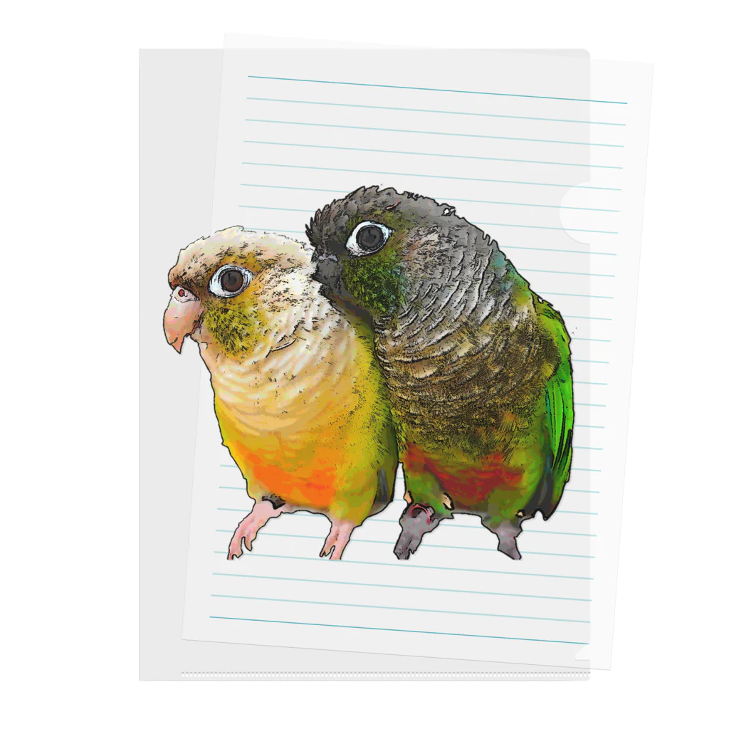 🌈みっきーのめっちゃAnimal Lifeやねん。🌈【🏡自宅を小さな保護施設にする計画中🌟】のウロコインコのよもちゃん&らむちゃん☆ Clear File Folder