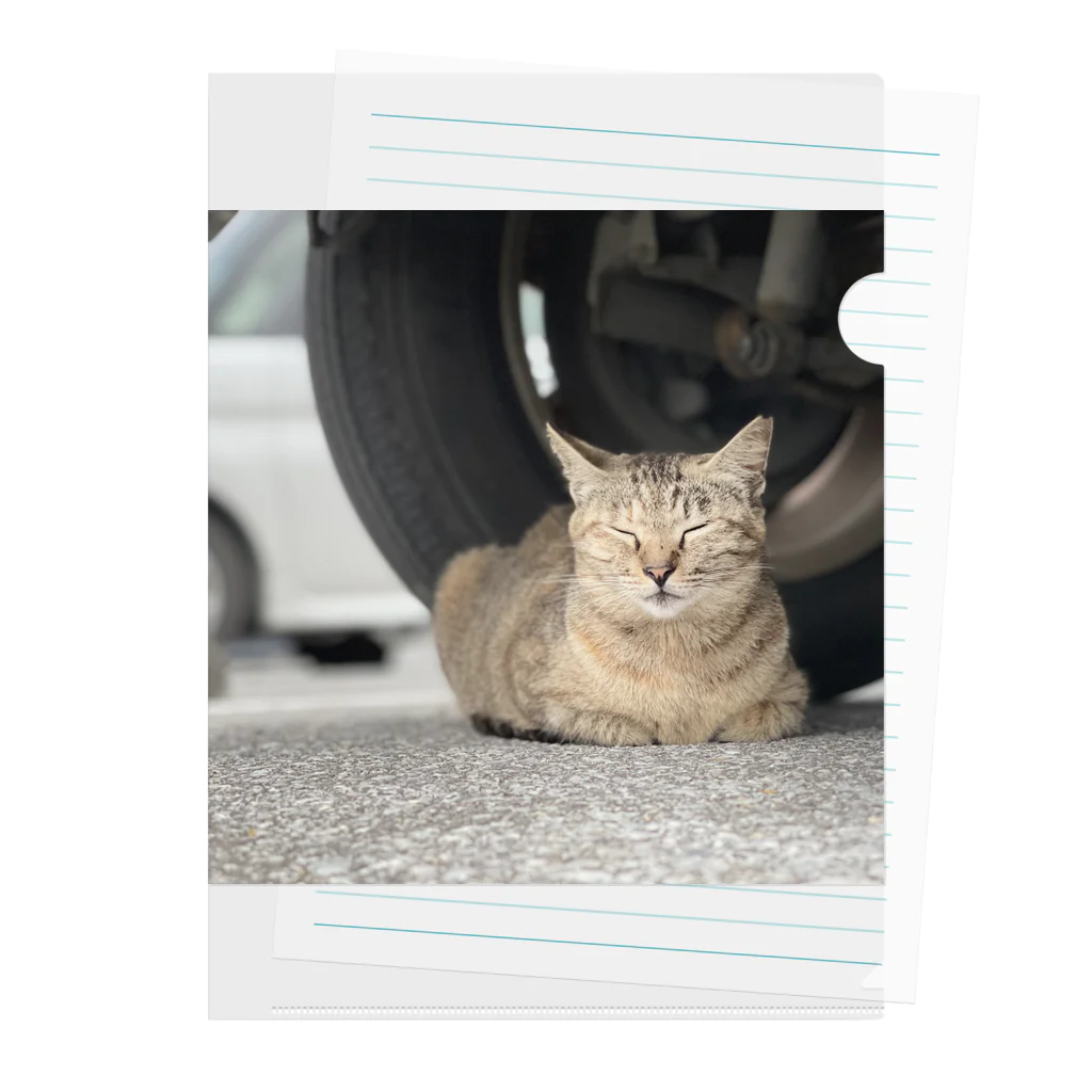 shirado_kazukiの猫のひとやすみ Clear File Folder