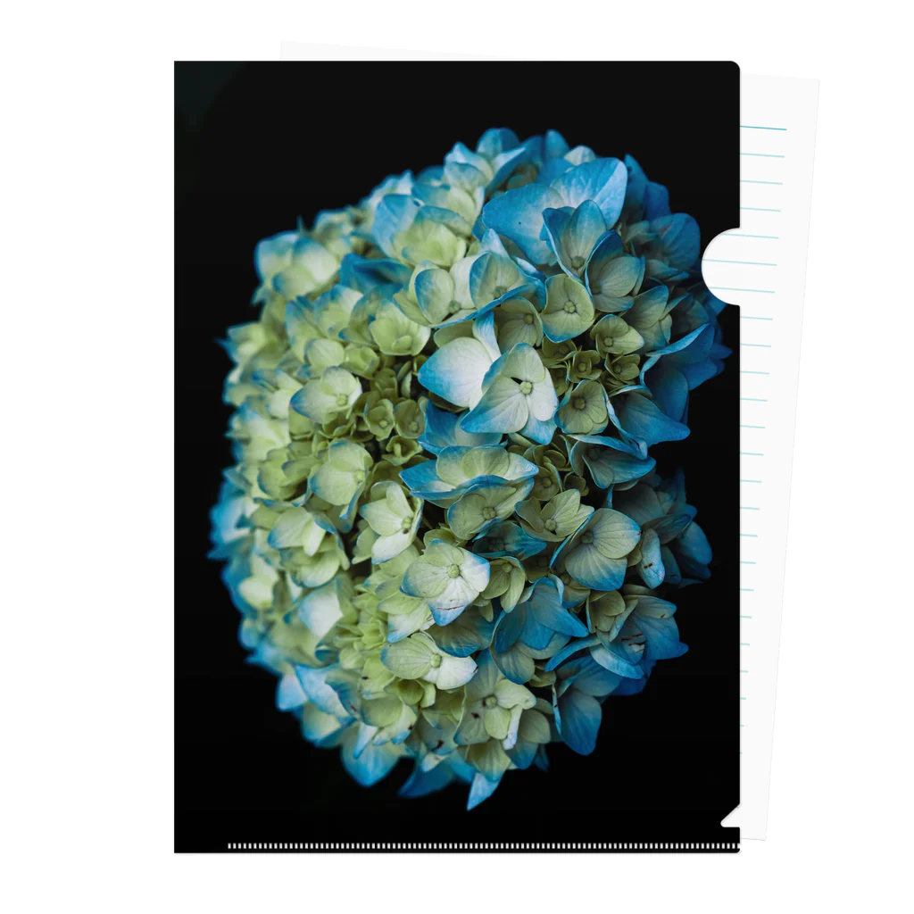 ごとー/お写真と日常の青の紫陽花 クリアファイル