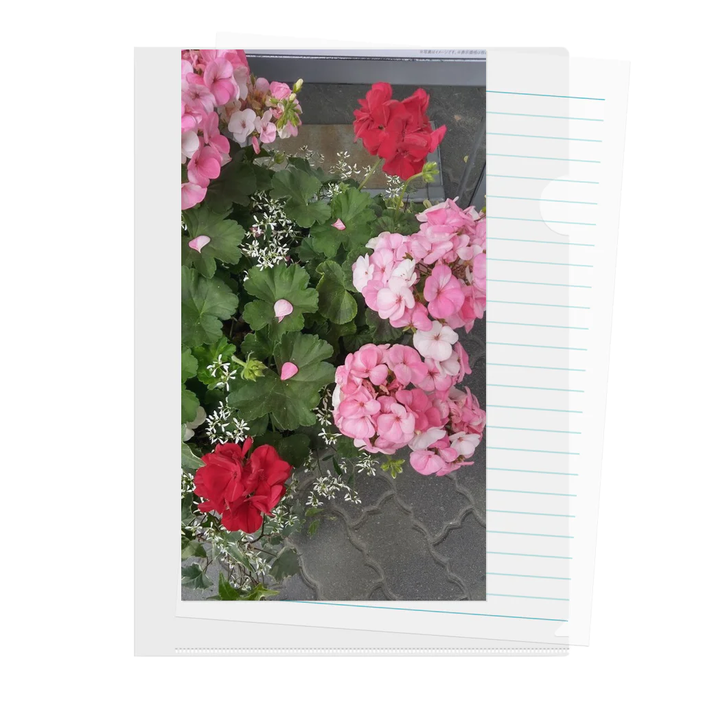 はちいろショップの散歩時の花 Clear File Folder