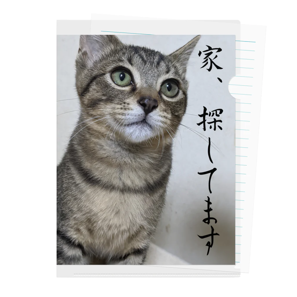 nekoinuitachi-kaori保護猫 TNRなどのおうちさがしねこ Clear File Folder