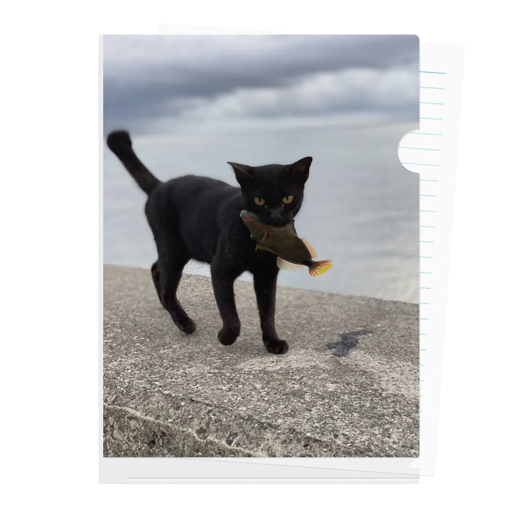 AMURITANONIWA-OFF LINE ART SHOPの魚をくわえた島猫 クリアファイル