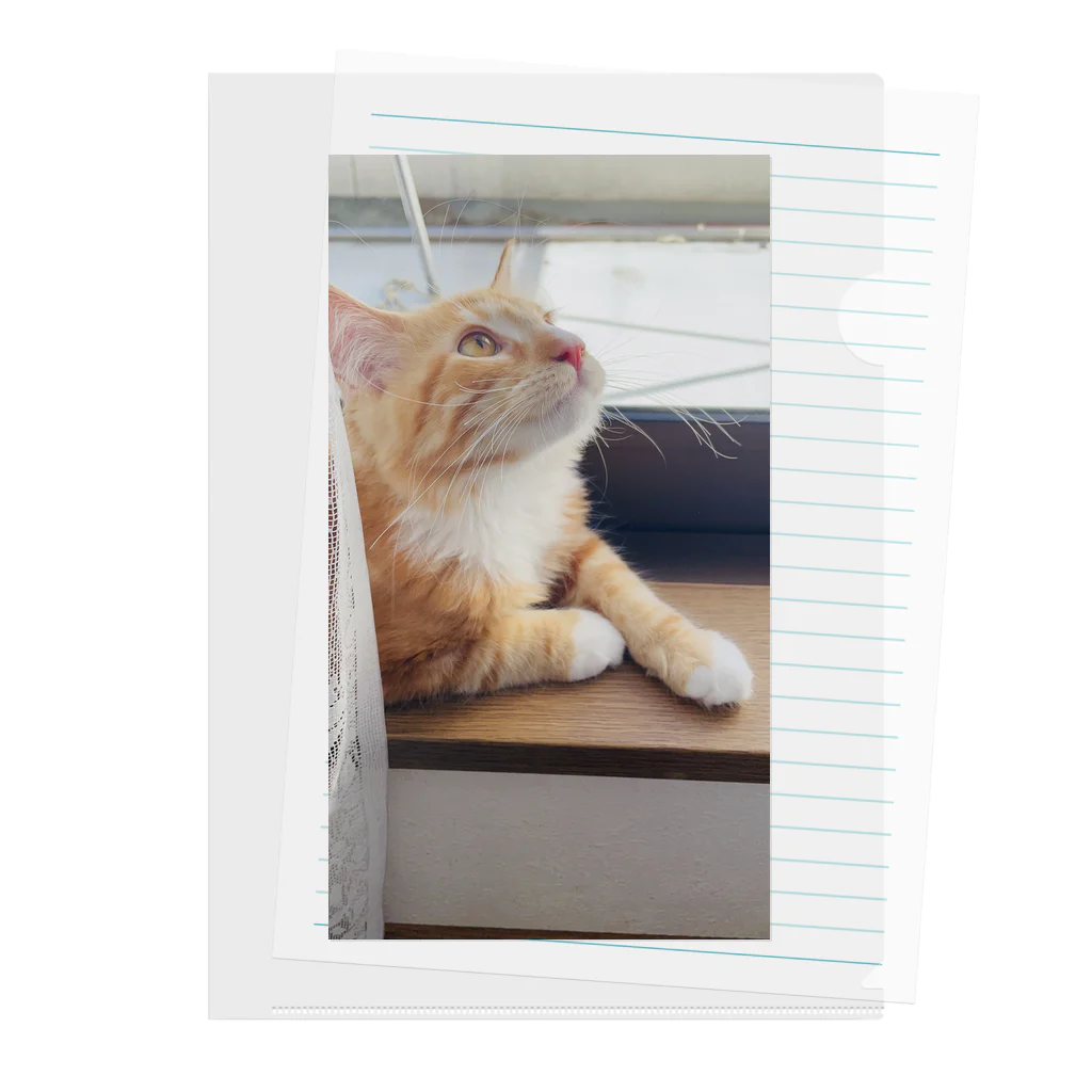 猫の窓辺の猫 クリアファイル
