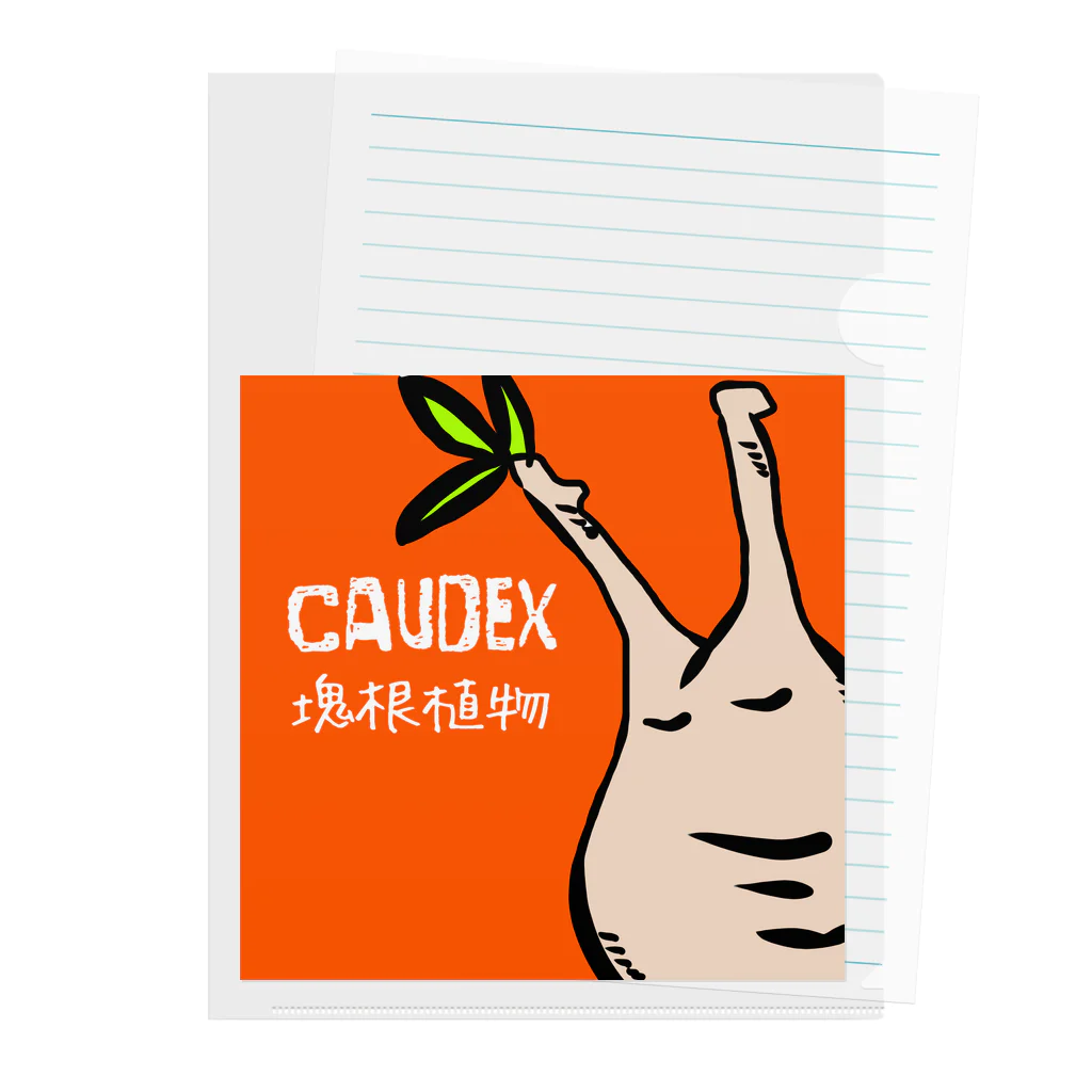 パキポキさんのcaudex  Clear File Folder