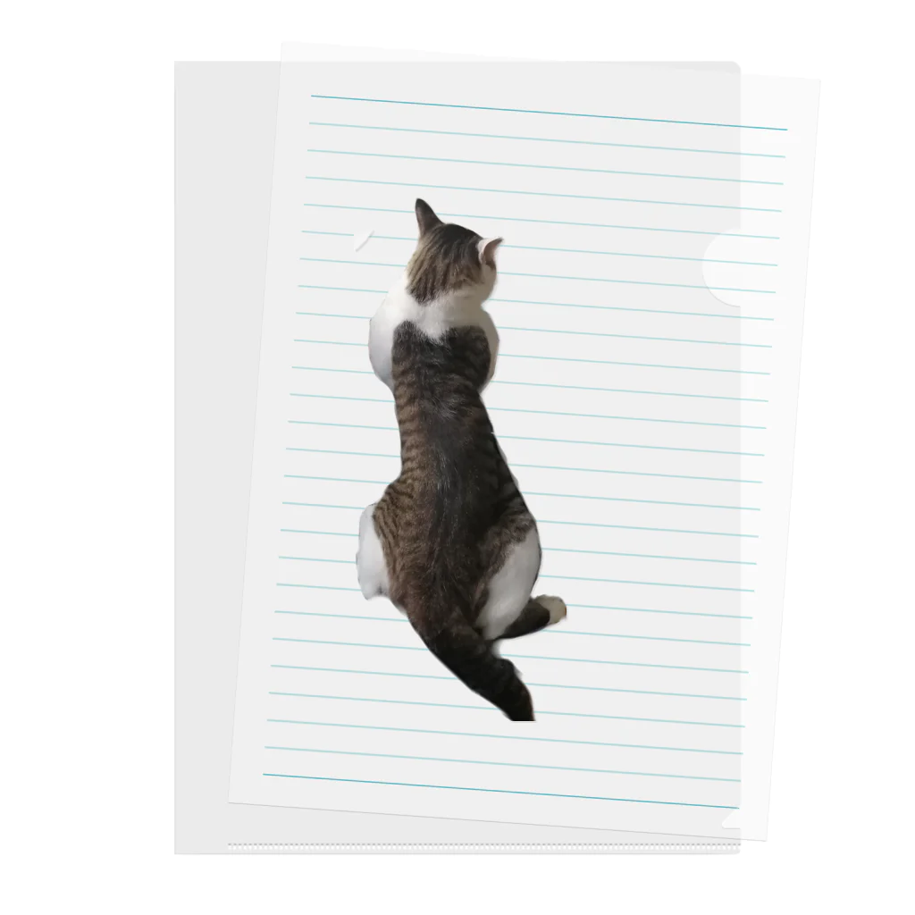 26giのぺたんねこ Clear File Folder