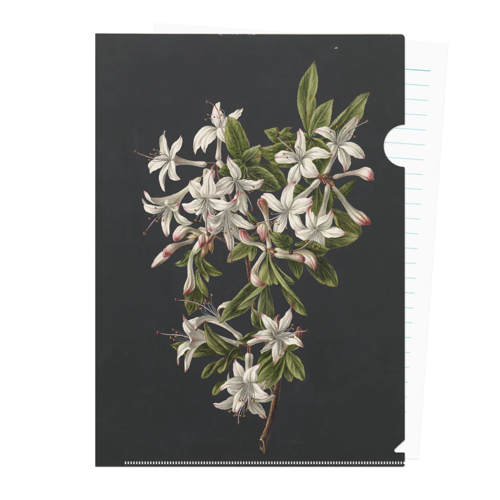 The Netherlands paintingのflora Clear File Folder