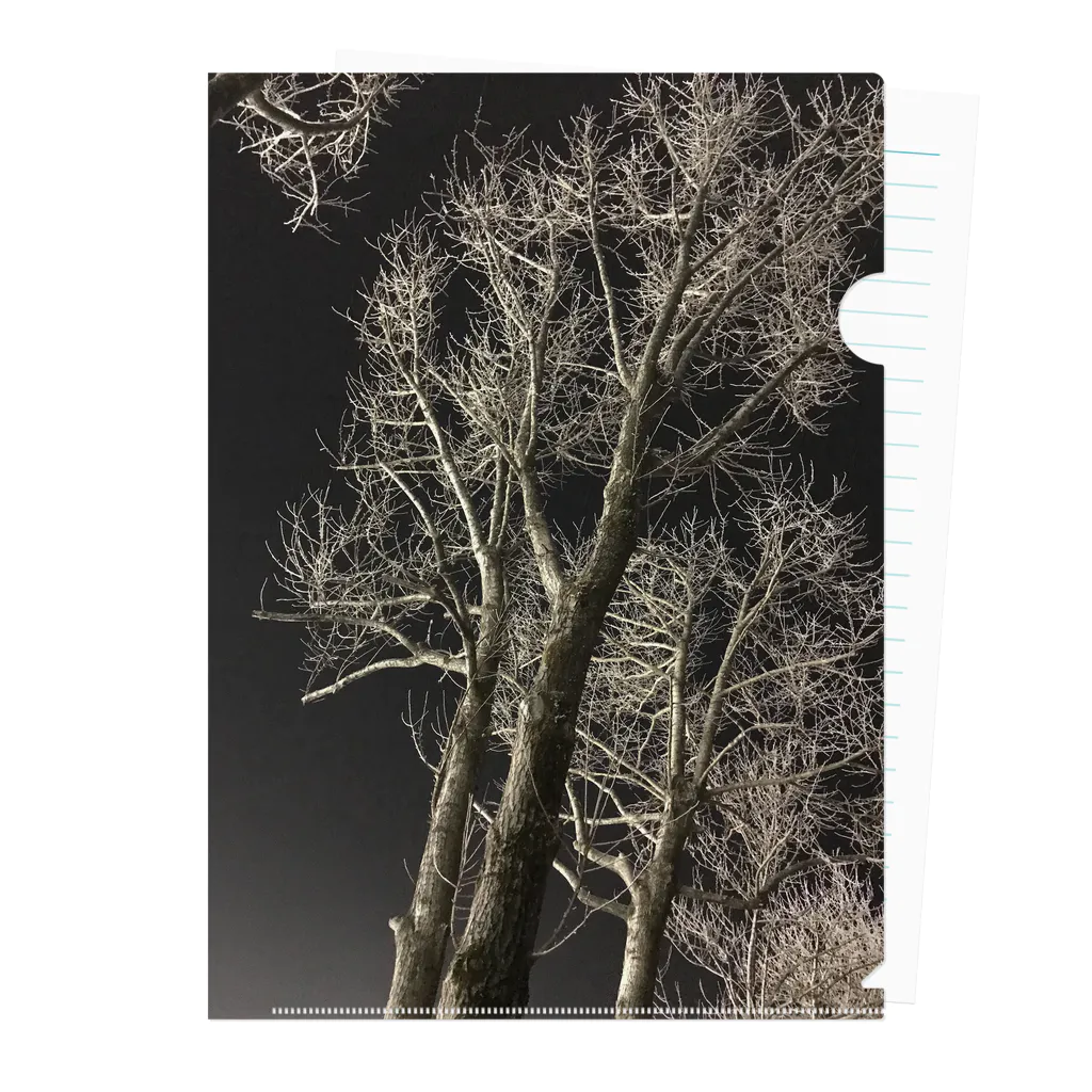 空屋　sorayakusakaの202001121944000　夜の樹木 クリアファイル