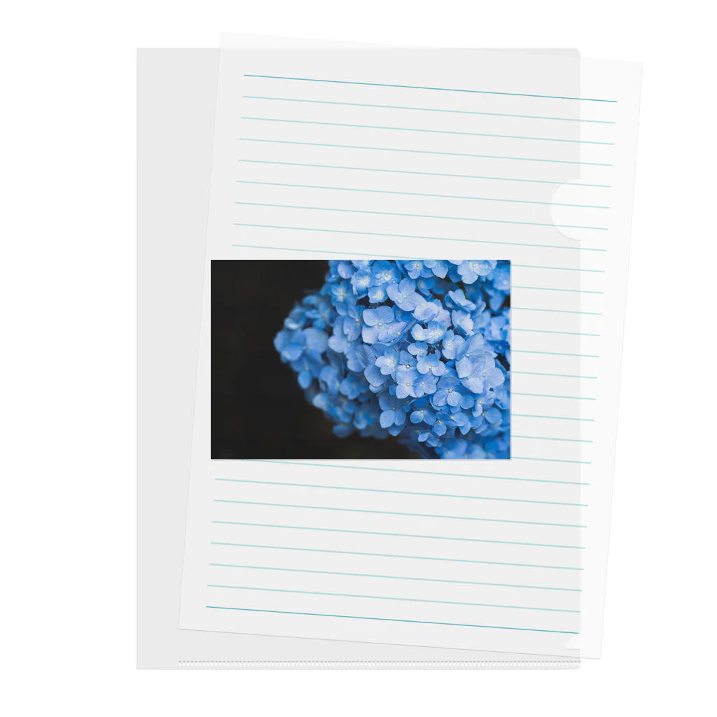 かずまるショップのあおいあじさい Clear File Folder