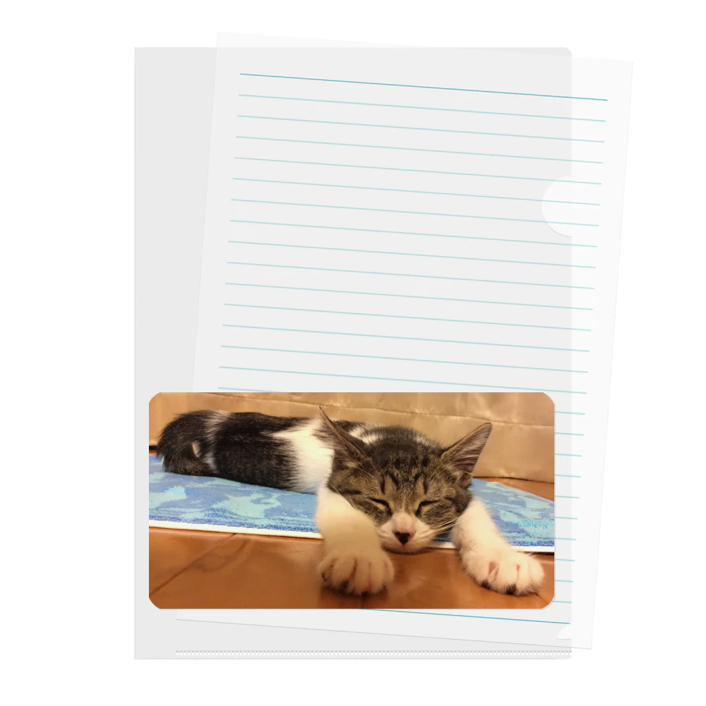 南の島のにゃんこの飛べるポーズで眠るパル～南の島のにゃんこ～ Clear File Folder