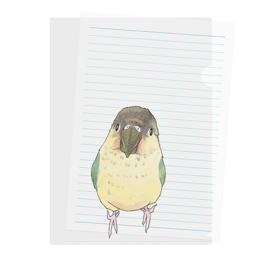 まめるりはことりの可愛いウロコメキシコインコちゃん【まめるりはことり】 Clear File Folder