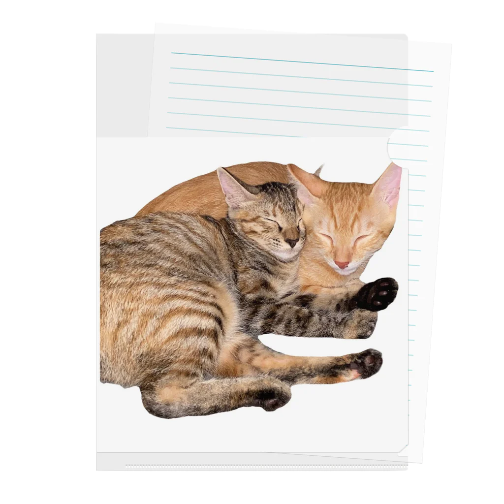 ChoboTora24の眠り猫ちゃん達 Clear File Folder