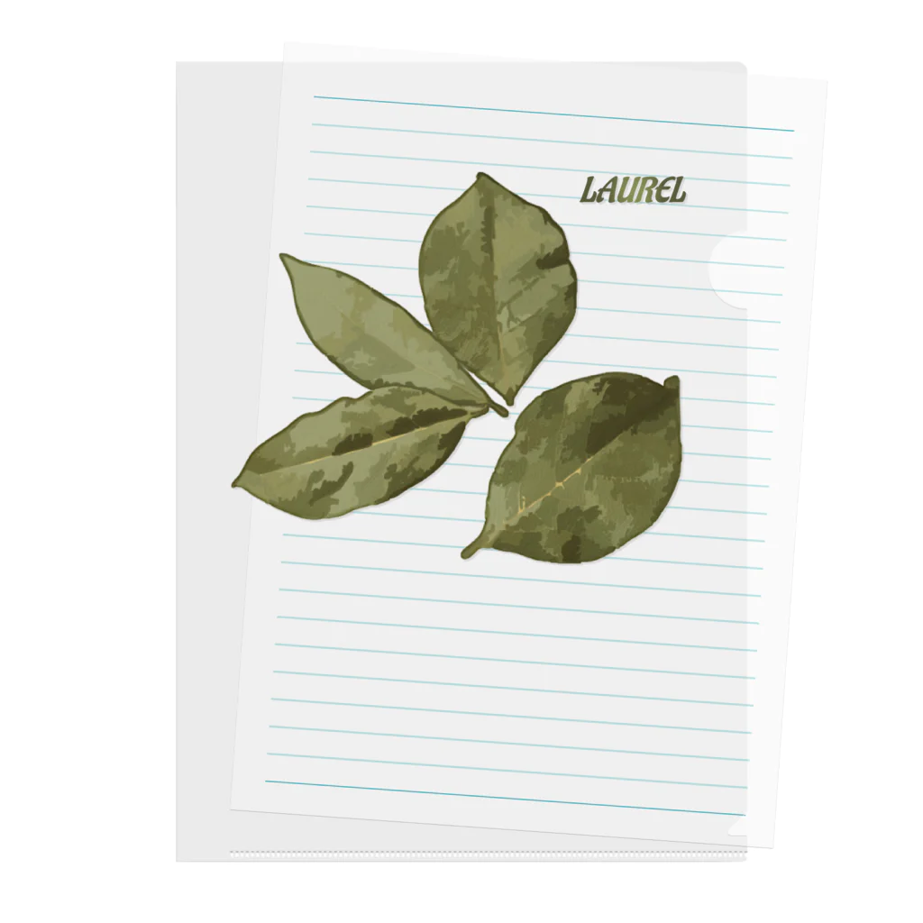 脂身通信Ｚの月桂樹の葉（ローリエ・ローレル） Clear File Folder