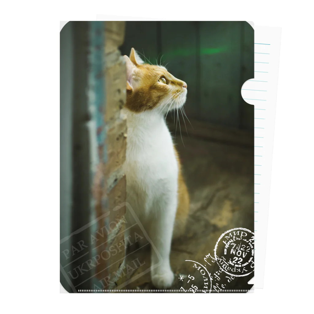 海賊猫 cocoのウクライナの猫 MurchikくんとNikotinくん♡ Cats ♡ Ukrainian cats #ウクライナ 本と猫 Donation Items Clear File Folder