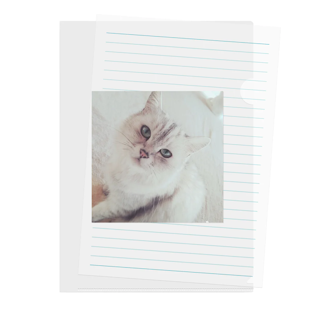 kawaiiの猫 Clear File Folder