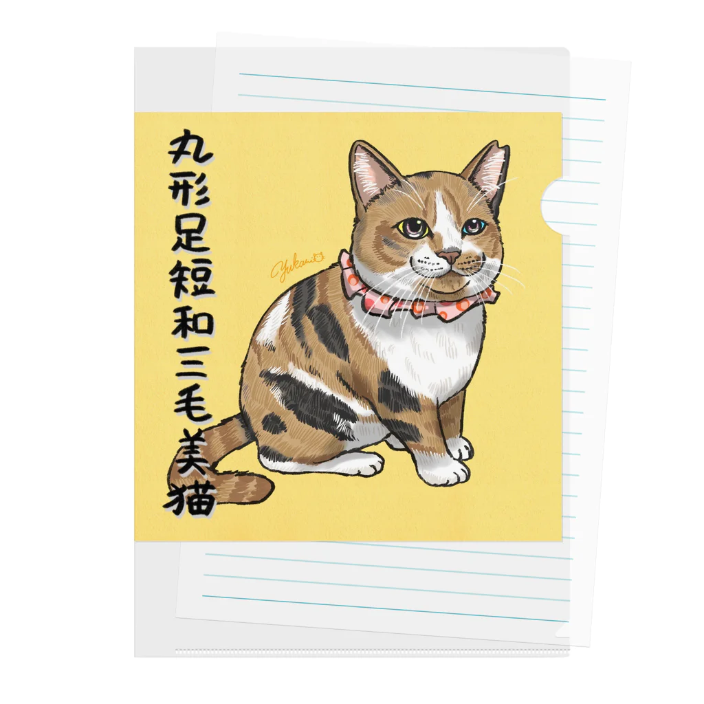 平野郷猫会議事堂の和三毛猫 Clear File Folder