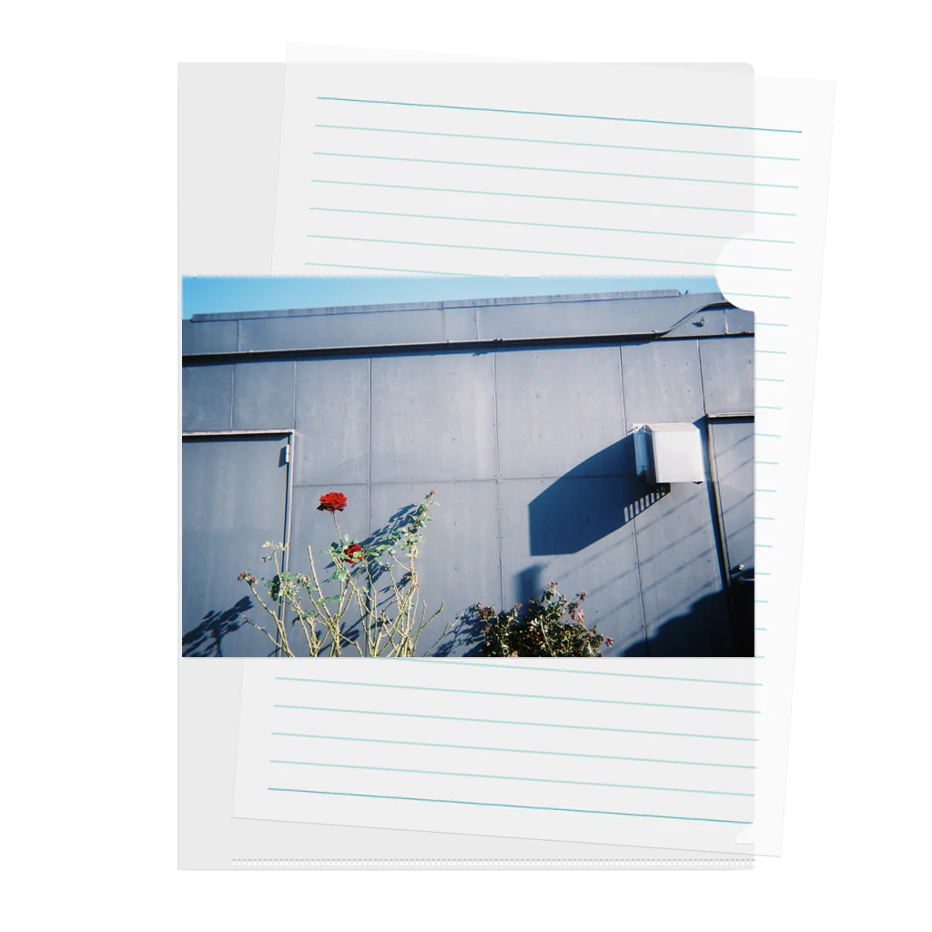 サチンカメラの屋上の花 クリアファイル