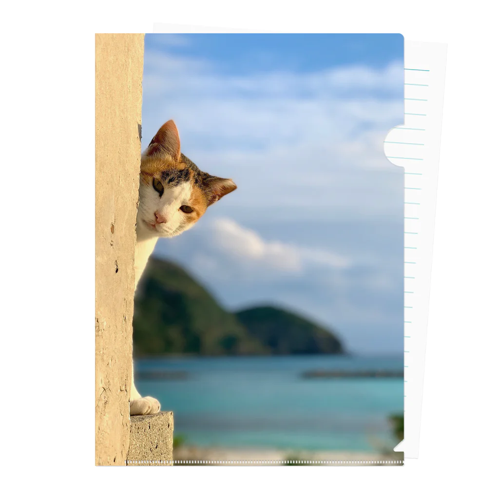 ちょろ母ねこ写真グッズの阿嘉島ねこ2 クリアファイル