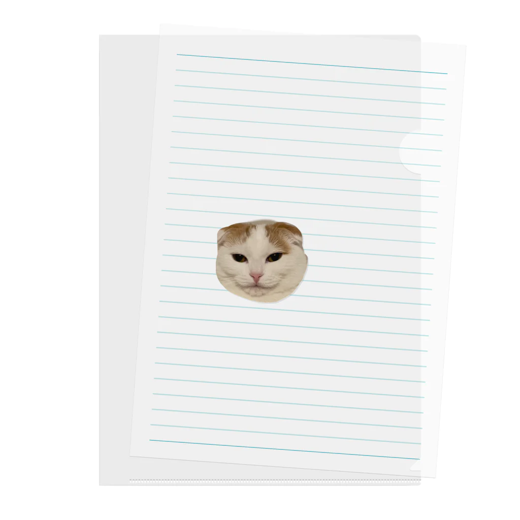 きなこ企画の愛猫きなこのオリジナルグッズ Clear File Folder