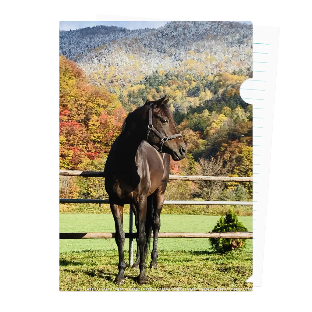 北のうまやの紅葉と初雪と馬　引退競走馬ブラッド クリアファイル