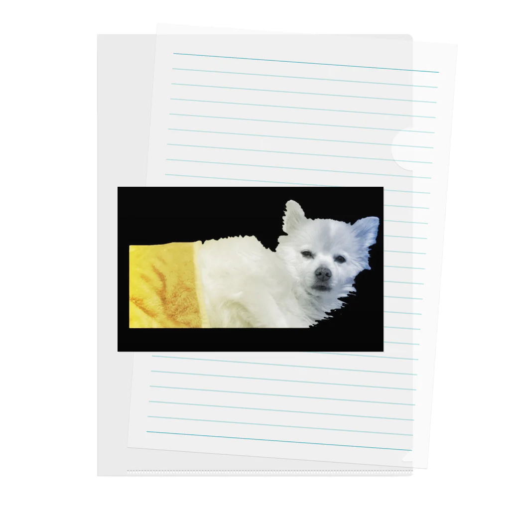 iＮUの起きた犬 Clear File Folder